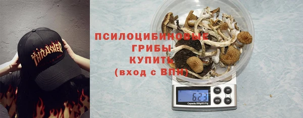 соль ск Волосово