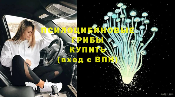 соль ск Волосово