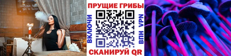 как найти закладки Нея Псилоцибиновые грибы MAGIC MUSHROOMS